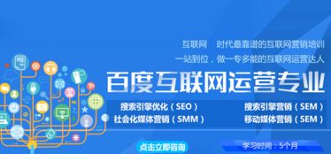 搜索引擎優(yōu)化（SEO）的分類(lèi)及其在互聯(lián)網(wǎng)銷(xiāo)售中的應(yīng)用